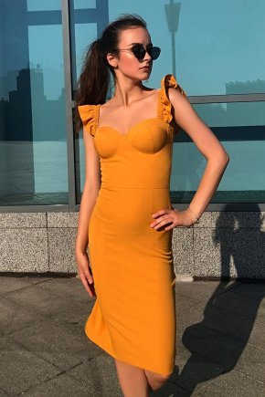 Плаття бюстьє крила